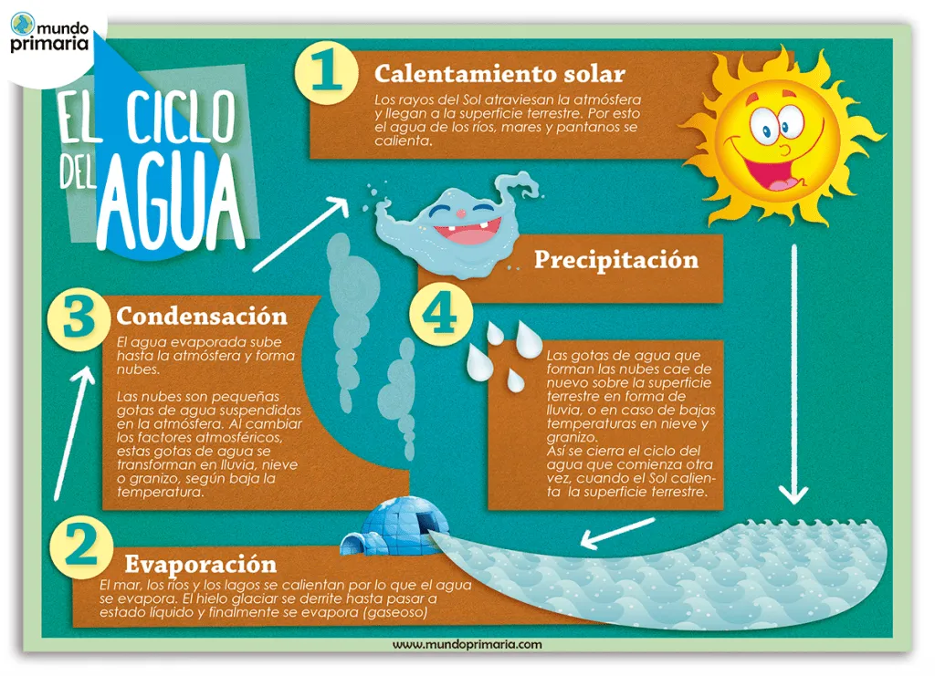 Infografía sobre el CICLO DEL AGUA para niños de primaria