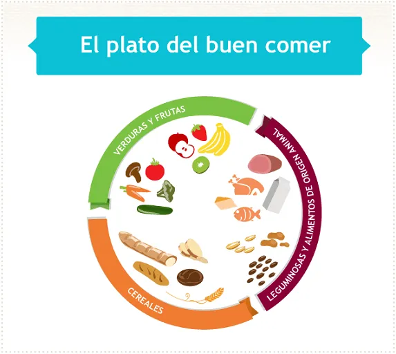 Infografía: Plato del buen comer