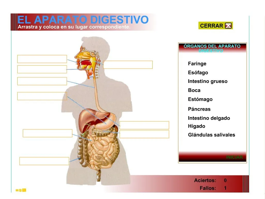 Información en la red: mayo 2010