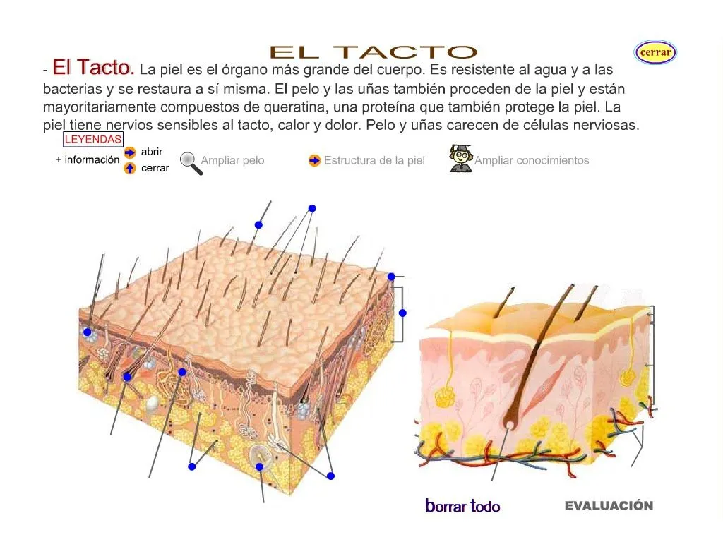 Información en la red