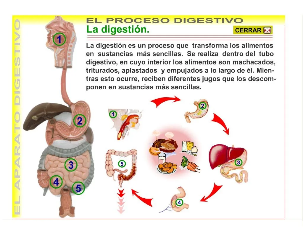 Información en la red: Recurso adecuado para mi unidad didáctica.