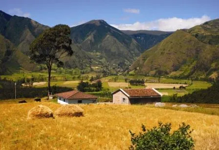 INFORMACIÓN SIERRA - ... Ecuador ama la vida