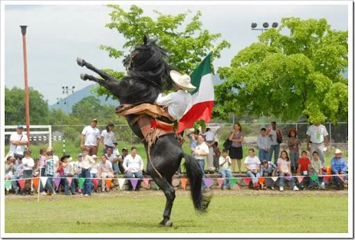 Información SNTE Sección 6: Espectacular Exhibición Ecuestre en el ...