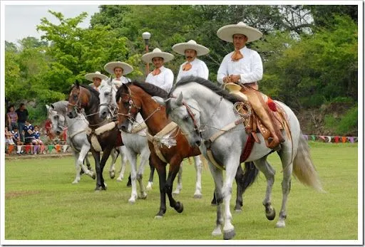 Información SNTE Sección 6: Espectacular Exhibición Ecuestre en el ...