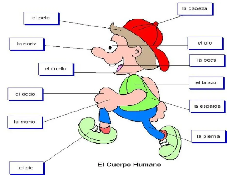 Cuerpo Humano Y Sus Partes | Dig Tattoo