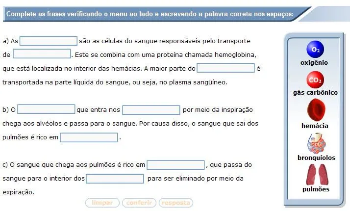 Informática Educacional: SISTEMA RESPIRATÓRIO 5º ANO