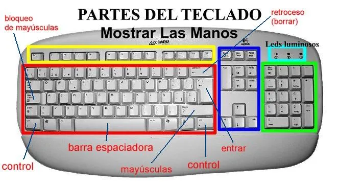 INFORMATICA | puntos claves del digitador recepcionista