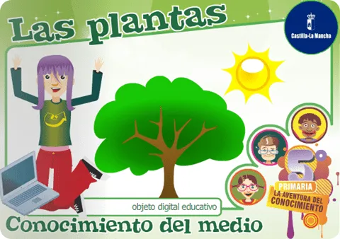 Ciclo de vida de las plantas para niños dibujos - Imagui