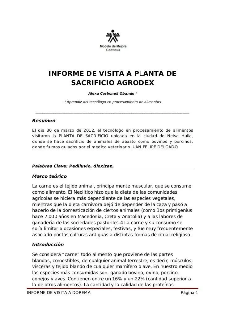 informe-