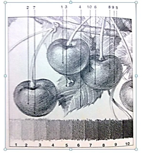 INGENIERIA DIBUJO Y PINTURA: DIBUJO A ESCALA TERCER EJERCICIO