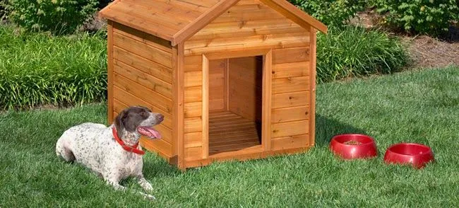 INGENIO MEXICANO: COMO HACER UNA CASITA PARA PERRO