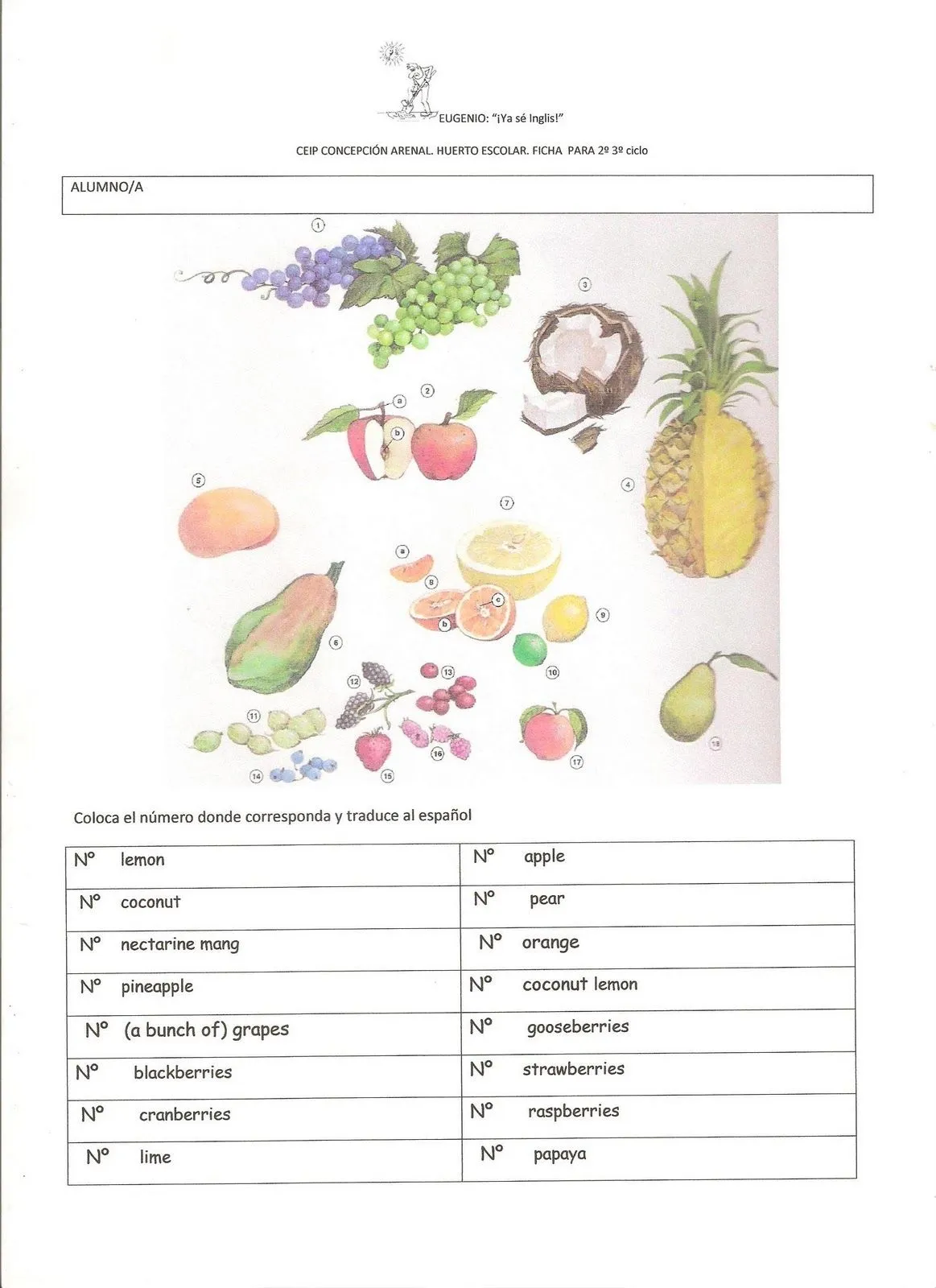 trabajo en ingles para 2º y 3º ciclo