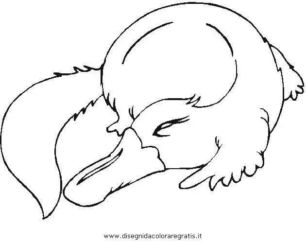 initorrinco Colouring Pages