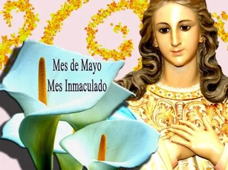 INMACULADA CONCEPCIÓN: El Mes de María Inmaculada.