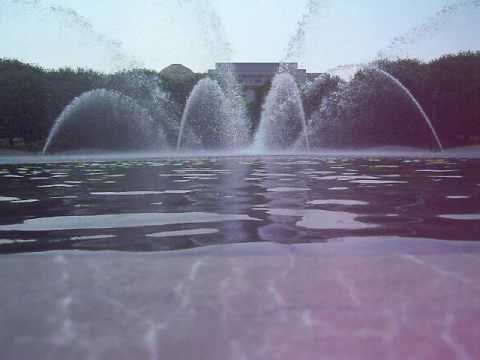 UN DIA INOLVIDABLE! - MamásLatinas