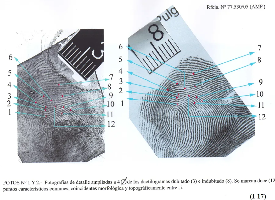 INSIGNIAS ONLINE: HUELLAS DE PISADAS Y DE NEUMATICOS