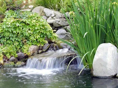 Cómo instalar y decorar un estanque en el jardín | Cuidar de tus ...