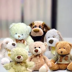 institución: imagenes de peluches bonitos