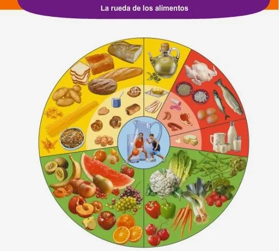 INSTITUTO JUAN SALVADOR GAVIOTA: La rueda de los alimentos