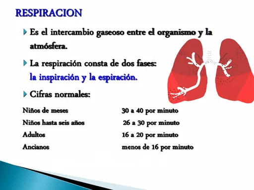 Instructivo de capacitación en primeros auxilios nivel intermedio ...