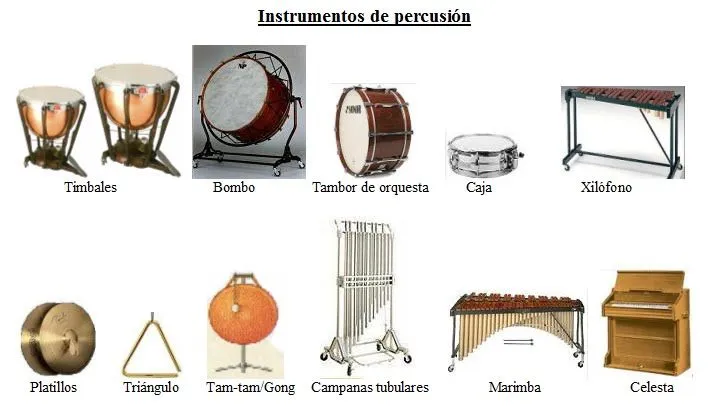 Pix For > Instrumentos Musicales De Percusion