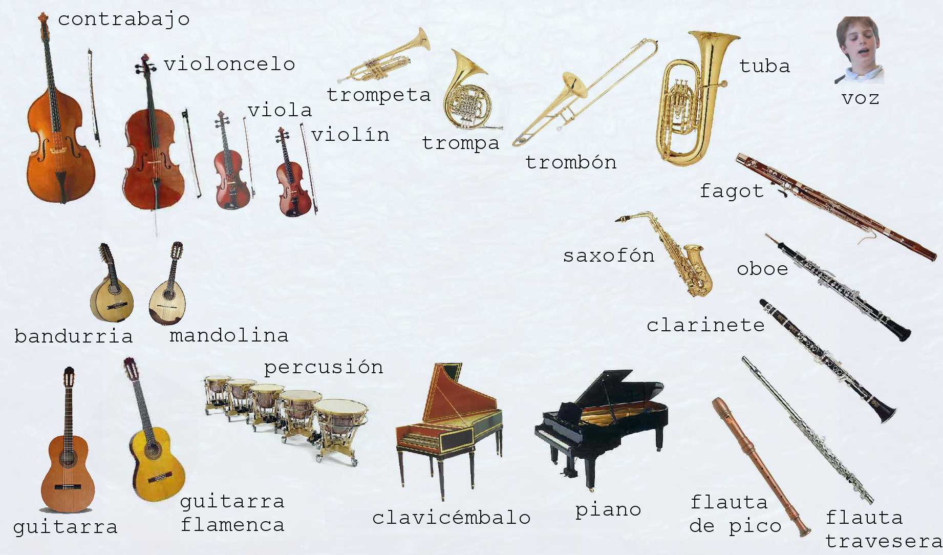 Identificación de instrumentos musicales | clase de alternativa