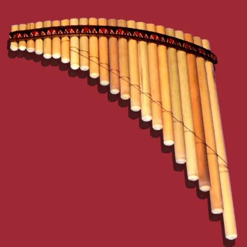 02. Instrumentos musicales que intervienen - Los TrotaMusiTIC's 2013/