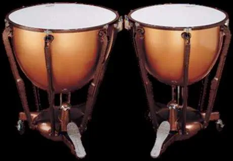 Instrumentos de percusión | CAELIMÚSICA