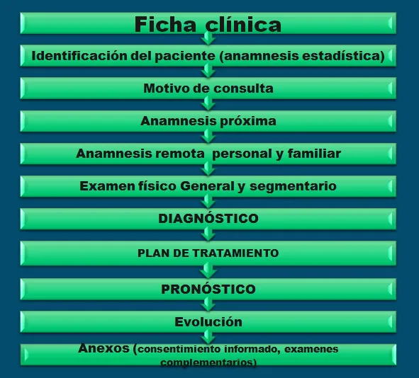 Integral 2015 Dra. Cerda: Seminario 4, Partes de una Ficha Clínica ...