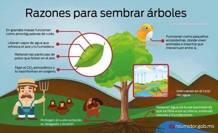 Intercordoba - Servicio, Seguridad y Confort