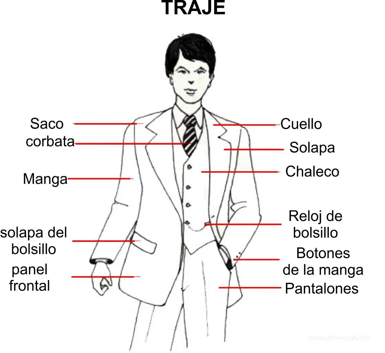 Dia Internacional del Hombre: Partes de un traje