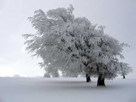 Primer Dia de Invierno! - Taringa!