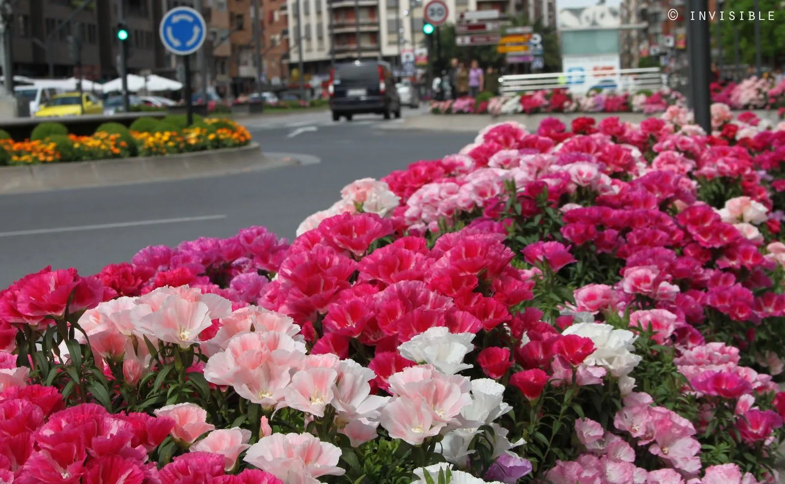 Invisible SLG Photos: Flores primaverales de la Gran Vía