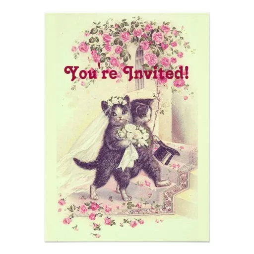 Invitación de los gatos del boda del vintage de Zazzle.