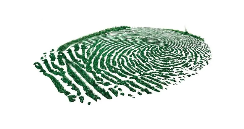 iPhone 5S con sensor de Huellas digitales y sin botón Home Físico ...