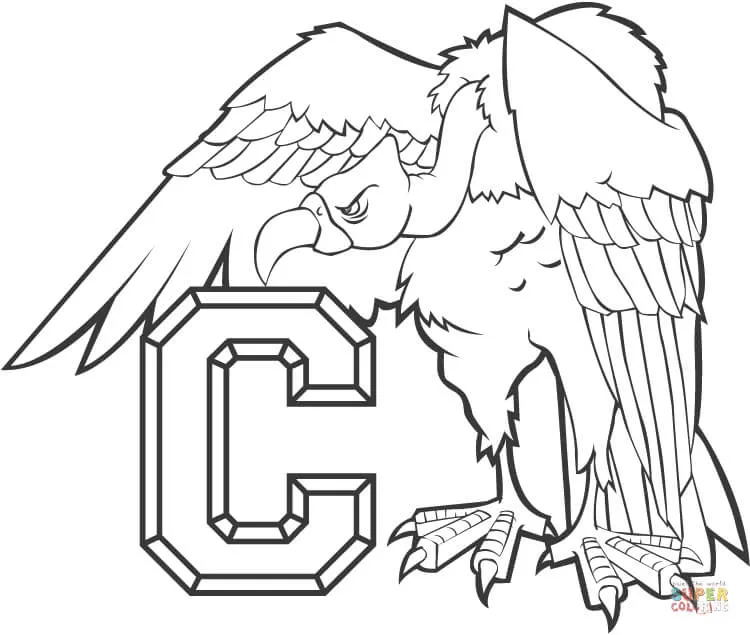 C is for Condor Coloring page | Free Printable Coloring Pages