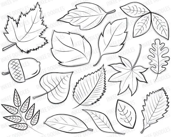 Items similar to Otoño hojas Digital sellos Clipart - bocetos de ...