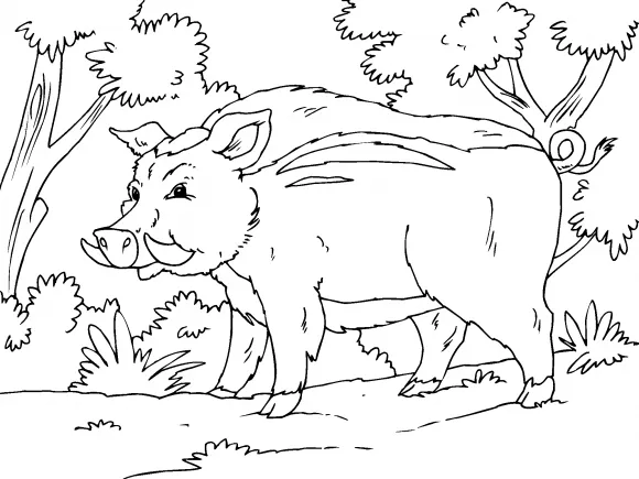 Imagen de un jabali para colorear - Imagui