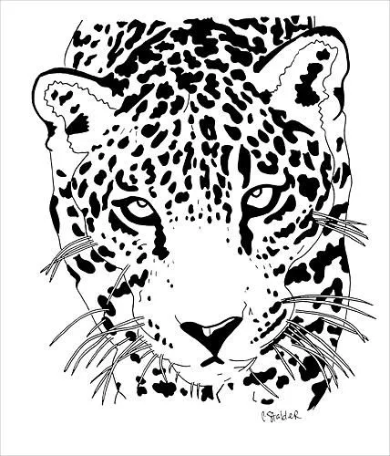 Jaguar 1 by Candace Stalder - Jaguar 1 Drawing - Jaguar 1 Fine Art ...