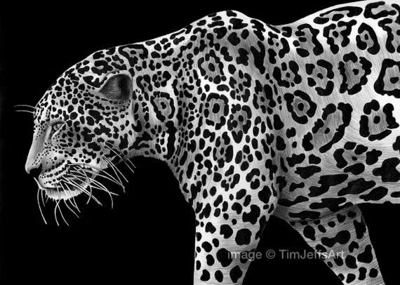 Jaguar Ink Drawing by TimJeffsArt on Etsy