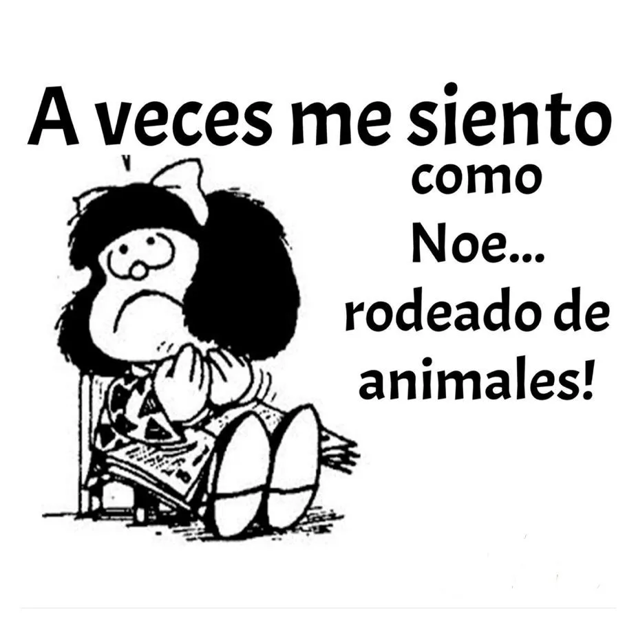 Jajaja, pues yo tengo el Arca...#humour | Monxe | Frases ...