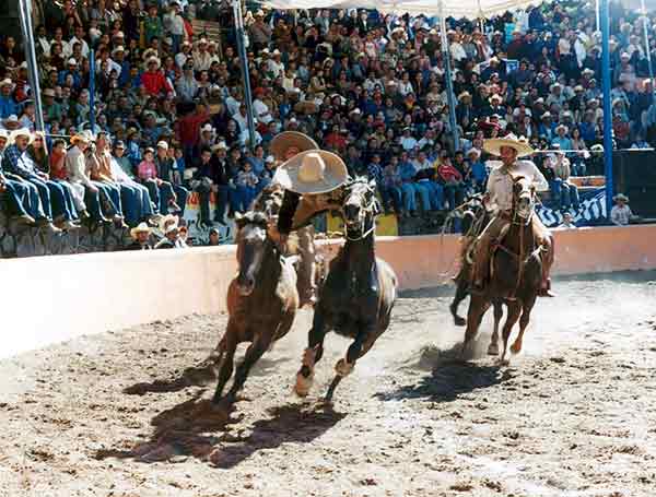 Jalisco3C: noviembre 2010