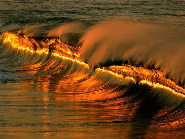 Janela com cortinados: Ondas...