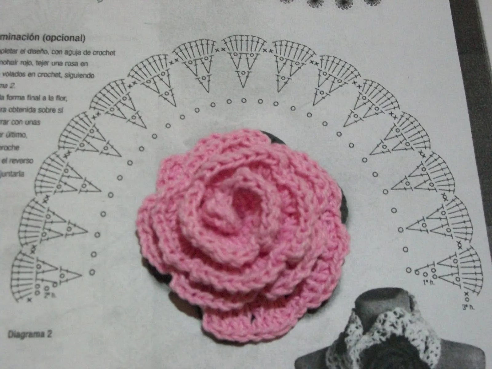 El Jardin de La Amistad: ROSA EN CROCHET!!!