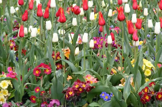 El jardín botánico de la ciudad ofrece gran cantidad de ejemplares ...