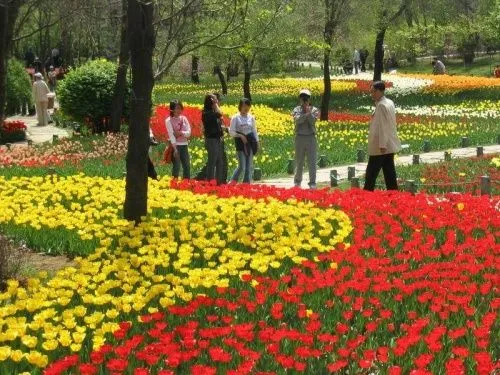 Jardín Botánico de Shenyang