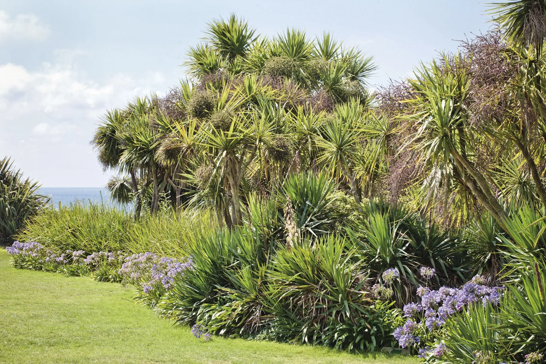 Jardin Botanique de Vauville - A voir A faire à Vauville