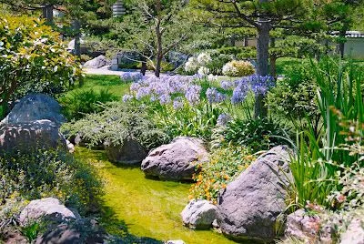 Jardin con flores de colores | <!-- Start --> <title>Jardin con ...