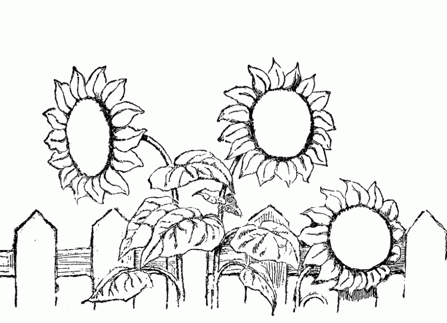 Dibujo de Flores en el jardín para colorear. Dibujos infantiles de ...