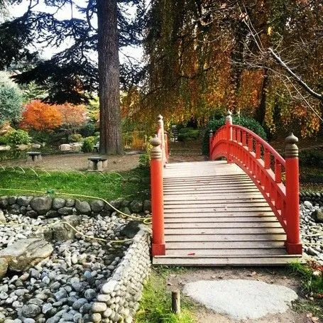 Jardin japonais Albert Kahn à Boulogne-